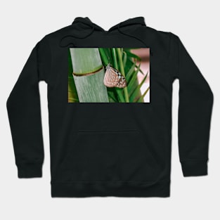 Butterfly on bamboo Hoodie